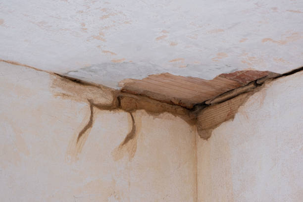 Best Water damage contractors near me  in Indian Hills, CO