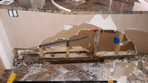 Best Local water damage restoration  in Indian Hills, CO