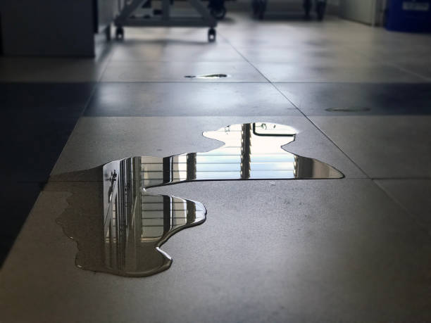 Best Water damage mitigation services  in Indian Hills, CO