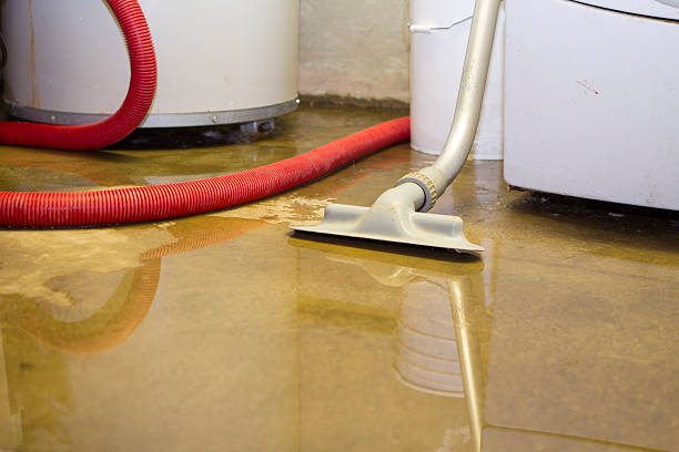  Indian Hills, CO Water damage restoration Pros