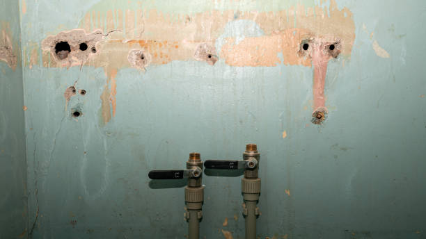 Best Basement water damage restoration  in Indian Hills, CO