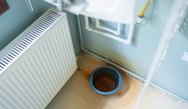 Best Water damage cleanup near me  in Indian Hills, CO