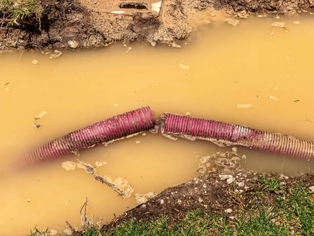 Professional Water damage restoration in CO